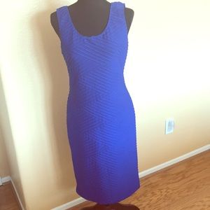 Brat Star Blue Ribbed Fitted Dress